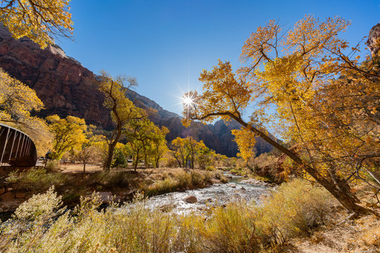 Beautiful autumn landscape around Zion National Park