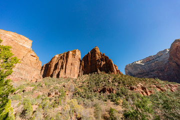 Fototapeta premium Beautiful landscape around Zion National Park