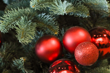 christmas decoration on tree soft lens background