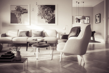 Contemporary Luxury Furnishing (B&W) - 3d visualization