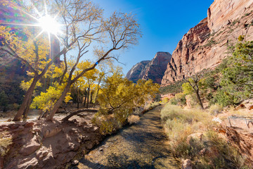 Beautiful landscape around Zion National Park