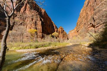 Beautiful autumn landscape around Zion National Park