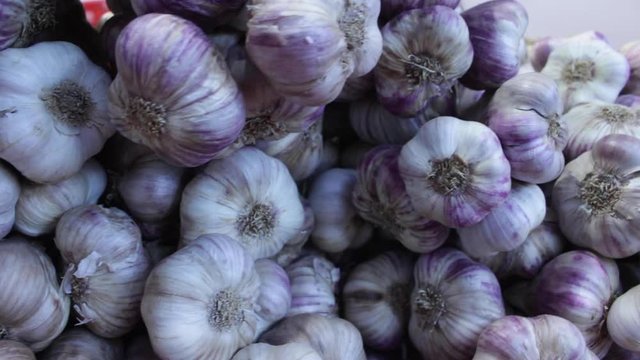 Milan, Italy,  handicraft fair, garlic