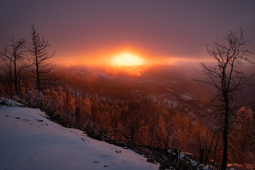 Fototapeta na wymiar Sunset over misty mountain forest 