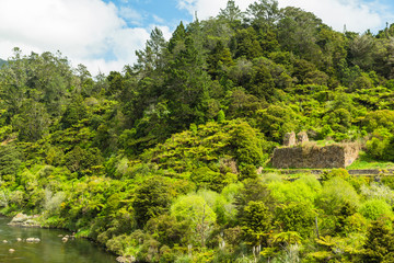 Fototapeta na wymiar ニュージーランド　コロマンデル近郊のカランガハケ渓谷の精錬所