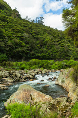 Fototapeta na wymiar ニュージーランド　コロマンデル近郊のカランガハケ渓谷の渓流