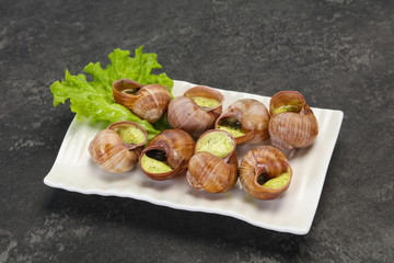 French cuisine - Escargot with sauce