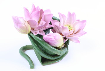 Ceramic lotus flower on background