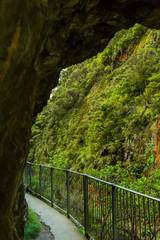 ニュージーランド　コロマンデル近郊のカランガハケ渓谷
