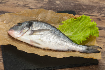 Raw Dorada fish  for cooking