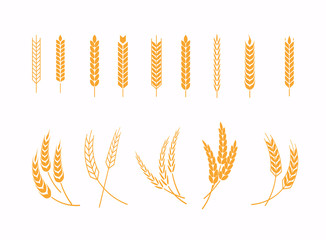 Set of wheats ears icons and wheat design elements. Harvest wheat grain, growth rice stalk and whole bread grains or field cereal nutritious.
