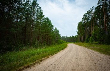 Fototapeta na wymiar Unpaved country road in pine tree forest