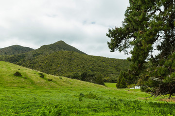 ニュージーランド　タウポのタウハラ山