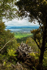 ニュージーランド　タウポのタウハラ山から見える街並みとタウポ湖