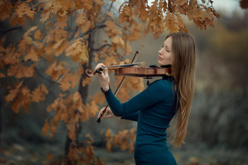 girl plays the violin in the autumn on the nature