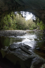 Oparara Arches Kahurangi National Park West Coast NZ