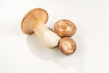 Shitake, eringi  tasty mushroom isolated on white background.