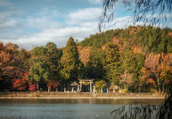 滋賀県米原市の三島池から見える三島神社と秋景色