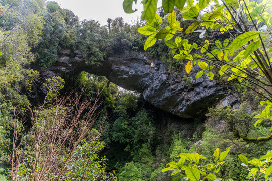 Oparara Arches Kahurangi National Park West Coast NZ