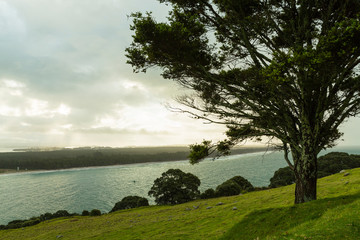 Fototapeta na wymiar ニュージーランド　タウンランガ湾の半島にあるマウント・マウンガヌイのマウアオの丘のハイキングトラックからの風景