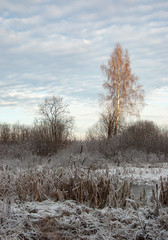 Beautiful winter landscape in Central Russia