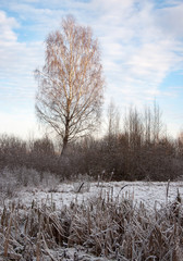 Beautiful winter landscape in Central Russia