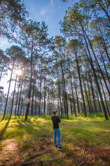 The photographer enjoys taking pictures of the pine forest in the morning
