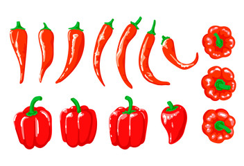Set of different hot red peppers and bell peppers. Vector isolated objects on white background.