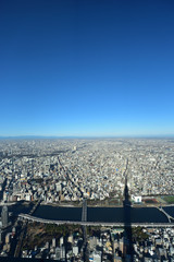 Bird view of Tokyo, Japan