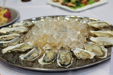Oysters with ice cubes on the big silver or metal round plate. Seafood served in buffet. Expensive delicacy on the table. Fine food photography. Catering service at the party or dinner