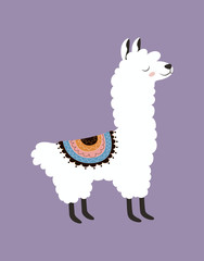 cute llama isolated