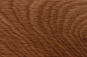 background of Ash wood on furniture surface