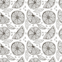 Seamless pattern of lemon, itrus, lime. Isolated on white background. Tropical summer fruit. Detailed citrus drawing Great for tea, juice, natural cosmetics. Black sketch. Hand drawn