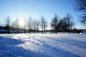 sunset in the winter wood with snow 