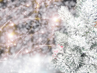 winter background with fir branches cones and snow