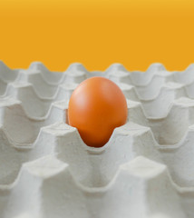 Concept outstanding object, Isolated one fresh brown chicken egg left in paper tray pit pattern background