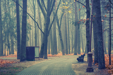 moody foggy morning in autumn city park with concrete alley, bare trees, bench and trash can
