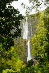 ニュージーランド　カイマイ・ママク森林公園のワイレレ・フォールズ・トラックの展望台からのワイレレ滝