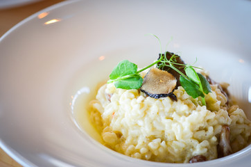 delicious italian risotto with black truffles
