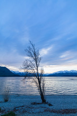 ニュージーランド　夕暮れ時のワナカのワナカ湖の湖畔