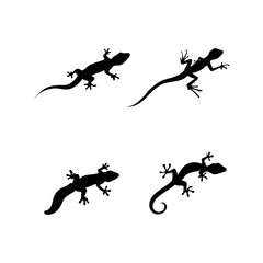 Lizard vector, design, animal, and reptile, gecko design