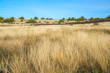 Steppe Crimea landscape
