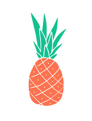 Vector illustration of a pineapple. Organic, natural template. Cute ananas with leaves. Great basic for flyer, brochure, wrapping paper, shirt design print, invitation, banner, poster.
