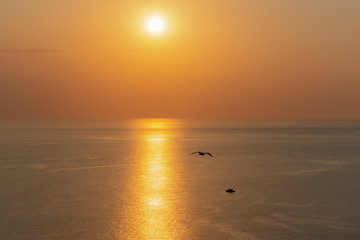 Golden sunset on the sea perfect background