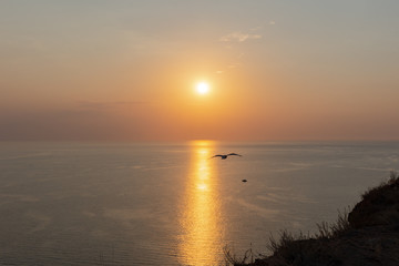 Golden sunset on the sea perfect background