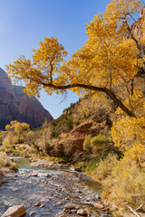 Fototapeta premium Beautiful autumn landscape around Zion National Park