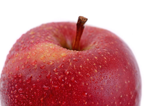 Polish Apple -Ligol