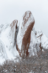 Snow covered Roxborough state park 