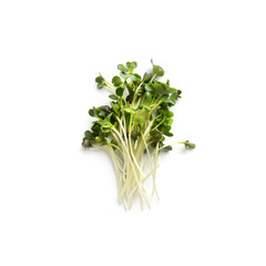 Top view on watercress or microgreens isolated on white