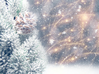 winter background with fir branches cones and snow
